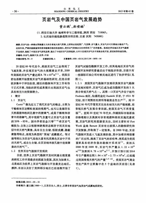 页岩气及中国页岩气发展趋势