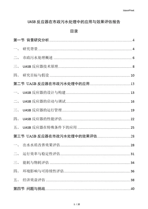 UASB反应器在市政污水处理中的应用与效果评估报告