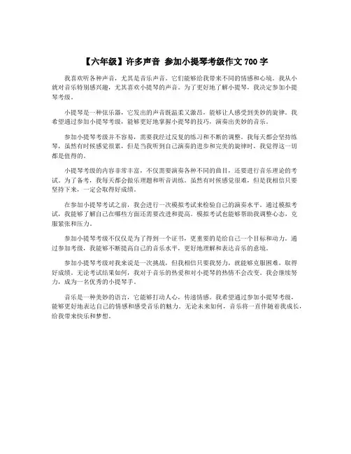 【六年级】许多声音 参加小提琴考级作文700字