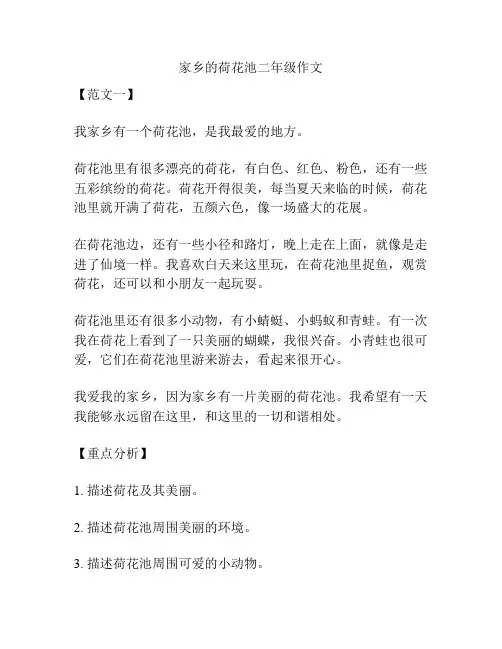 家乡的荷花池二年级作文