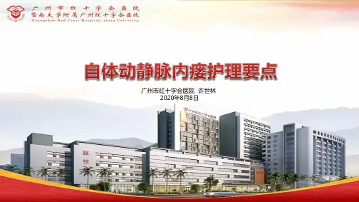 自体动静脉内瘘护理要点