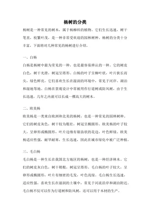 杨树的分类