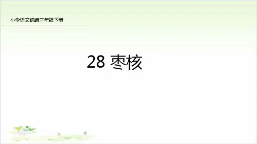 三年级下册语文ppt-枣核-优秀课件-人教部编版