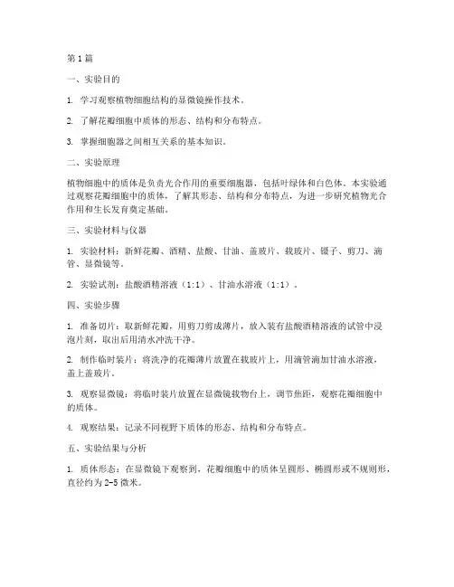 观察花瓣质体实验报告(3篇)