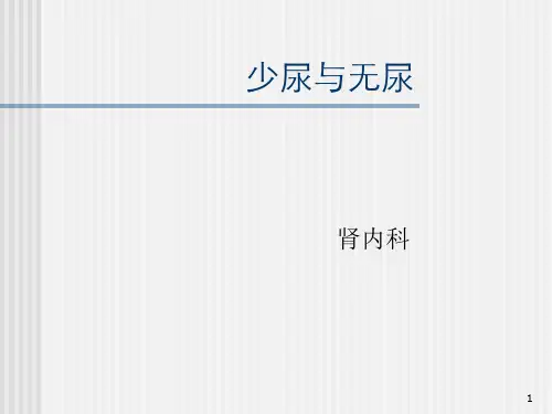 少尿与无尿PPT课件