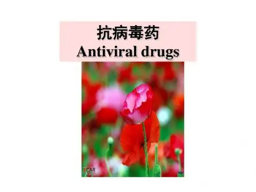 抗病毒药PPT课件