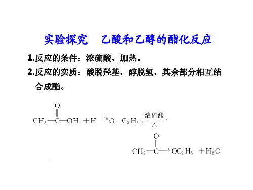 实验探究  乙酸和乙醇的酯化反应