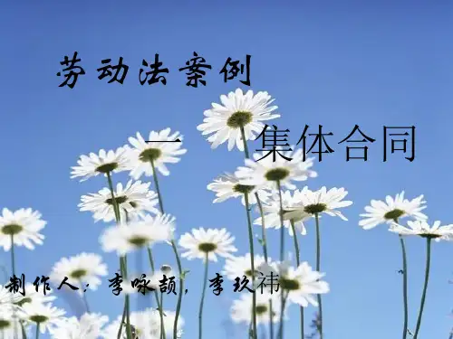 劳动法案例_PPT演示文稿