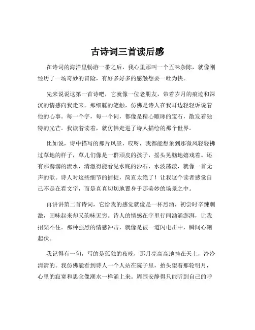古诗词三首读后感