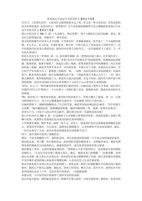 2023最新-你是我心中永远不灭的光作文【精选7篇】