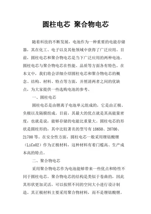 圆柱电芯 聚合物电芯