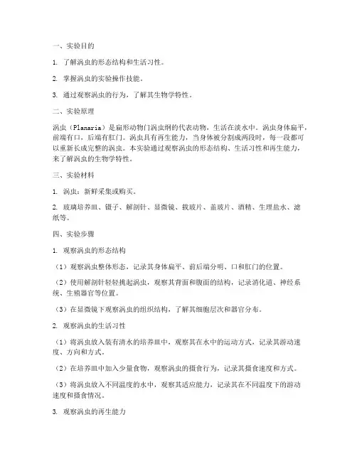 涡虫的实验报告