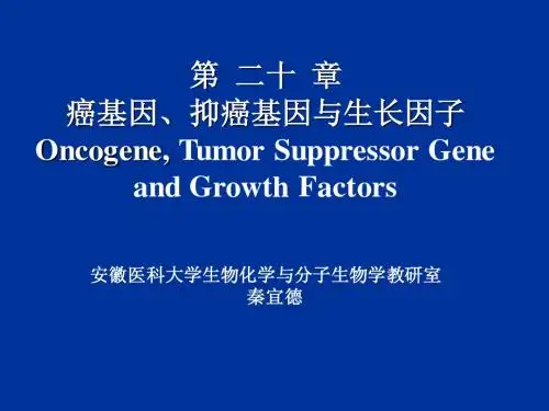 第二十章_癌基因、抑癌基因与生长因子