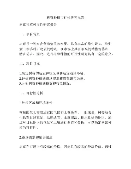 树莓种植可行性研究报告