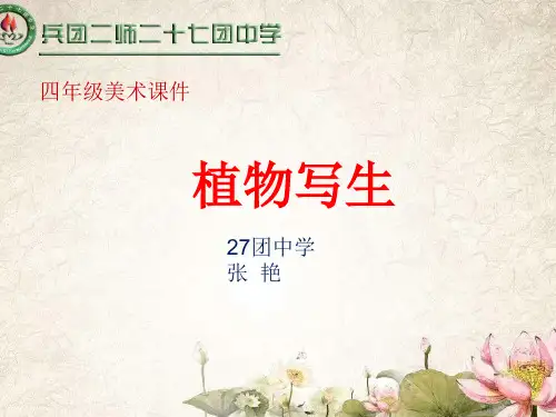 人美版四年级下册美术课件：《植物写生》(共34张PPT)