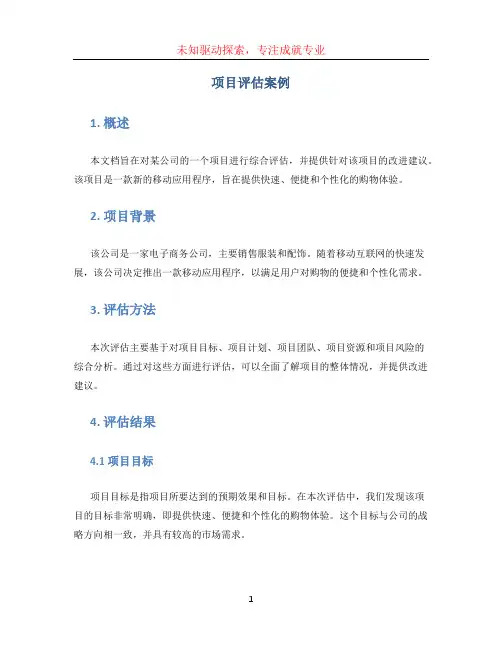 项目评估案例