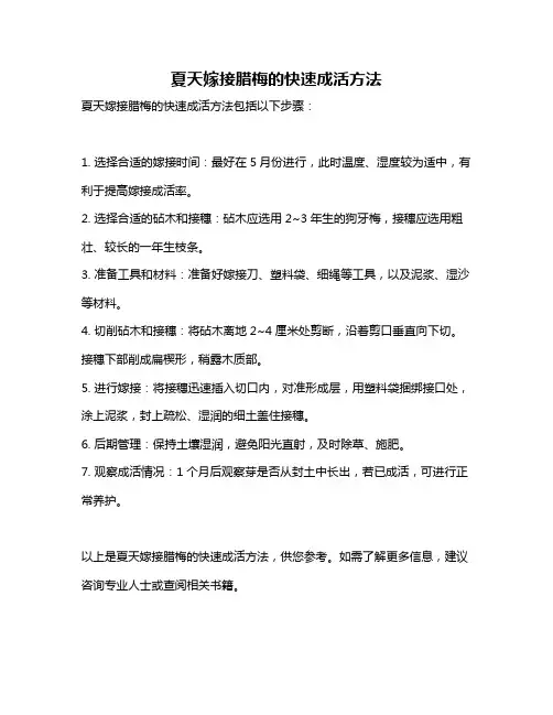 夏天嫁接腊梅的快速成活方法