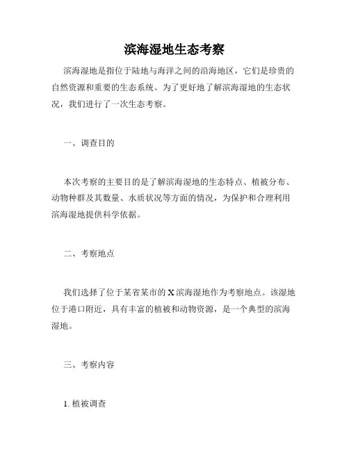 滨海湿地生态考察