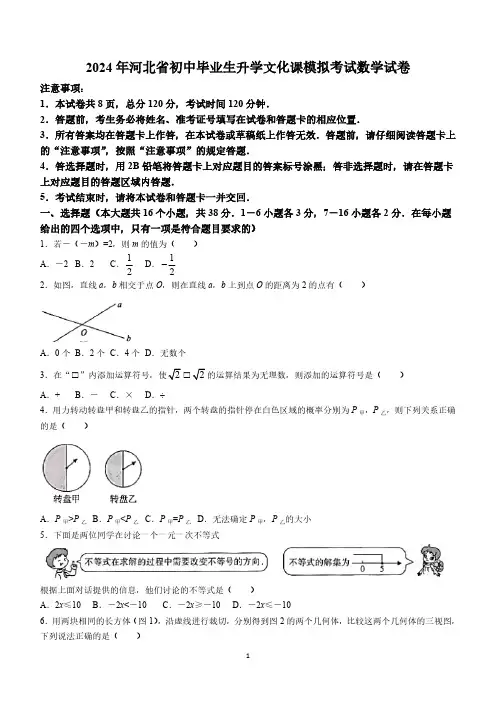 2024年河北省邯郸市邱县二模数学试题(含答案)