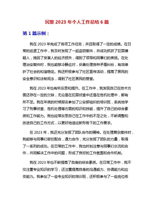 民警2023年个人工作总结6篇