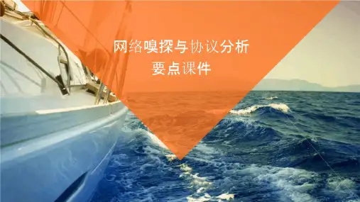 网络嗅探与协议分析要点课件