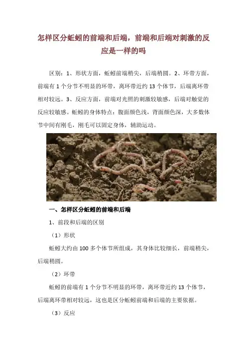 怎样区分蚯蚓的前端和后端,前端和后端对刺激的反应是一样的吗
