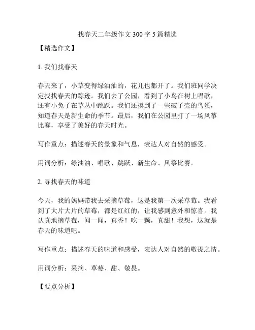 找春天二年级作文300字5篇精选