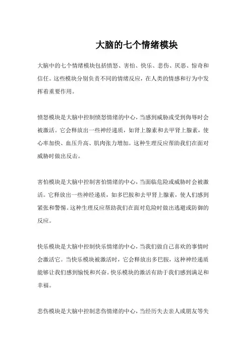 大脑的七个情绪模块