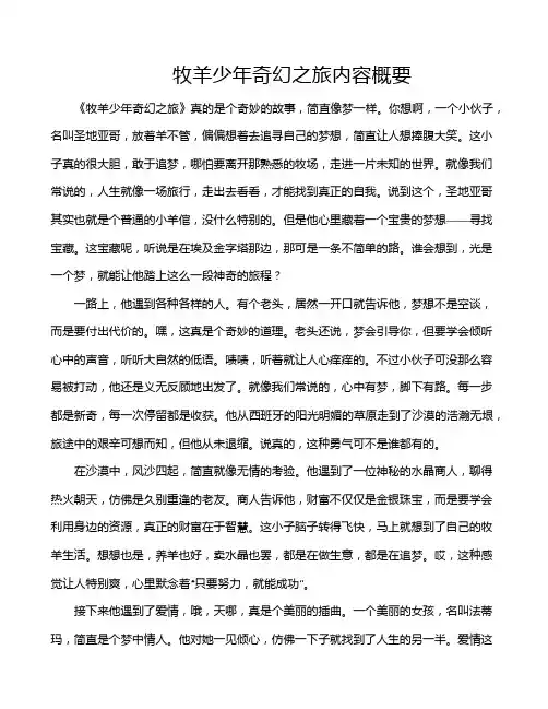牧羊少年奇幻之旅内容概要