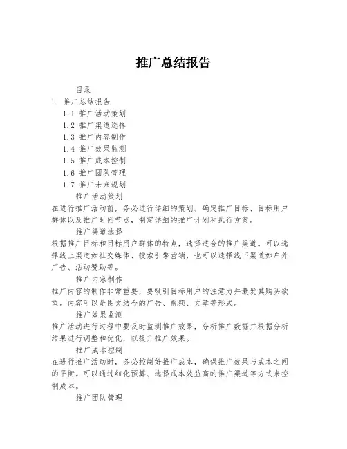 推广总结报告