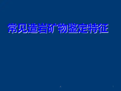 常见造岩矿物鉴定特征