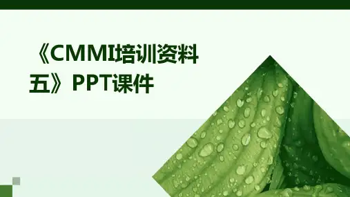 《CMMI培训资料五》课件