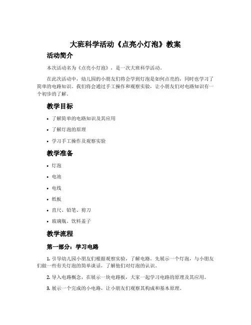大班科学活动《点亮小灯泡》教案