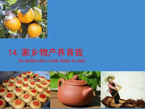 小学道德与法治《家乡物产养育我》ppt课件部编版1