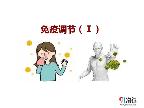 课件11：2.4 免疫调节（Ⅰ）