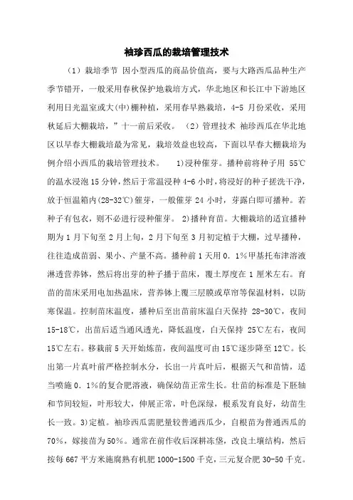 袖珍西瓜的栽培管理技术