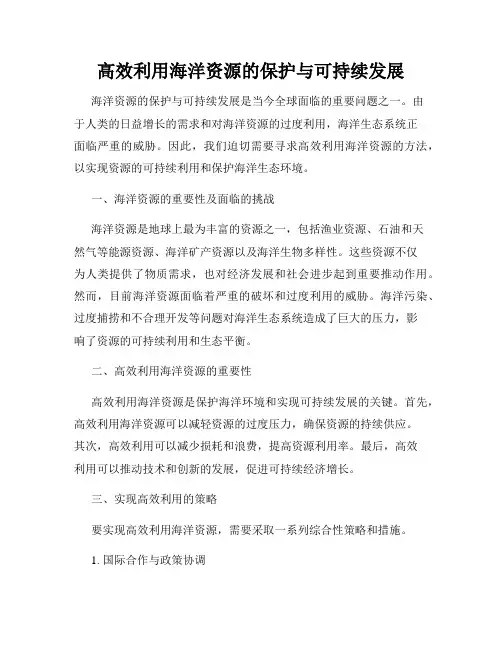 高效利用海洋资源的保护与可持续发展