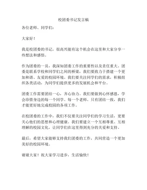 校团委书记发言稿