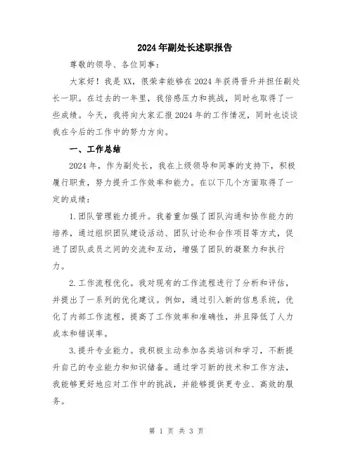 2024年副处长述职报告