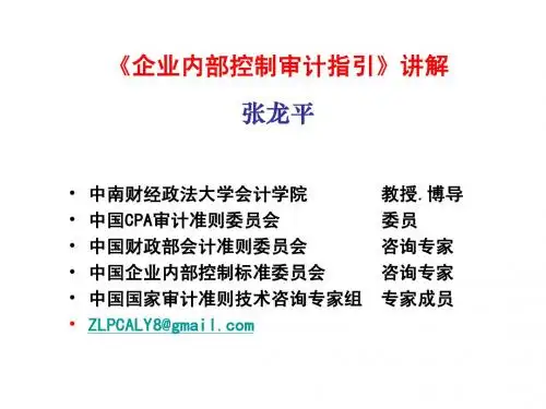 企业内部控制审计指引讲解