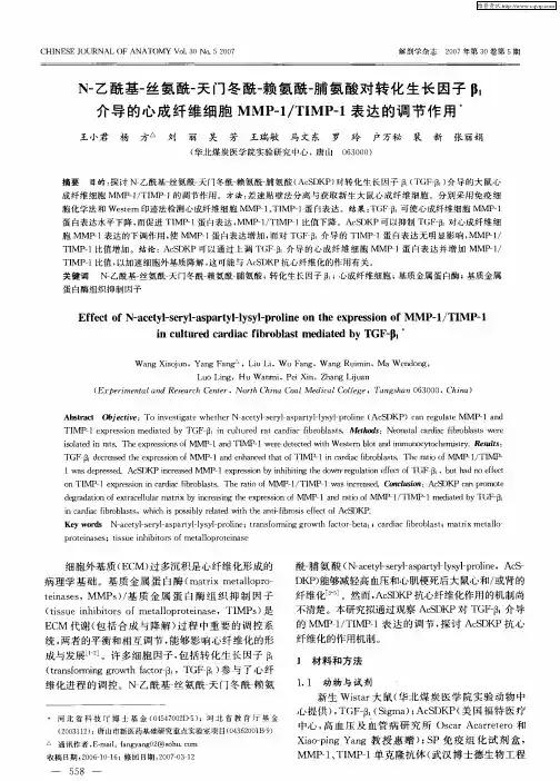 N-乙酰基-丝氨酰-天门冬酰-赖氨酰-脯氨酸对转化生长因子β1介导的心成纤维细胞MMP-1／TIMP-1表达的调节