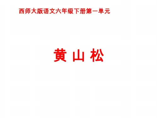六年级语文黄山松