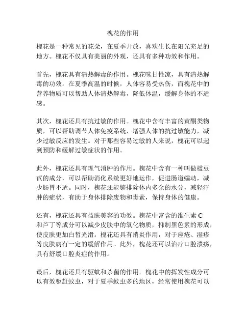 槐花的作用
