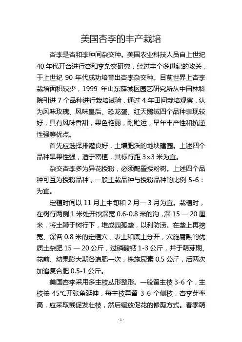 美国杏李的丰产栽培