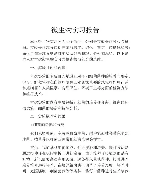 微生物实习报告
