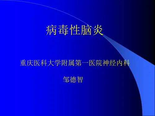 病毒性脑炎