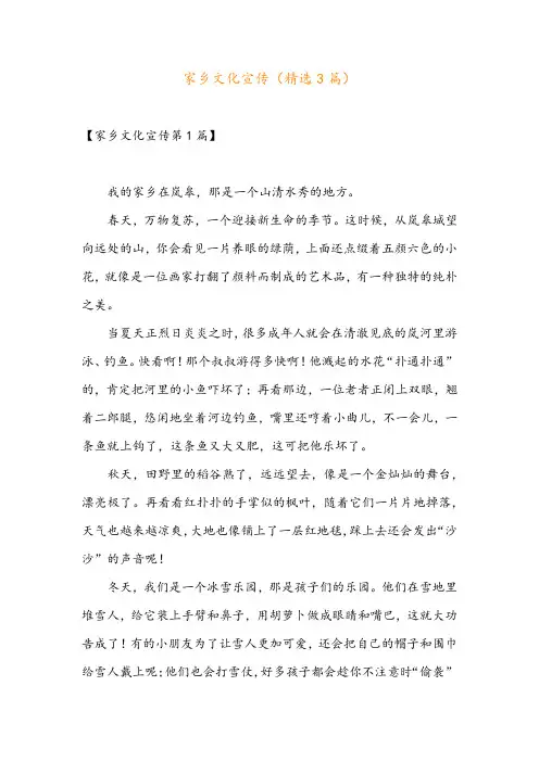 家乡文化宣传(精选3篇)