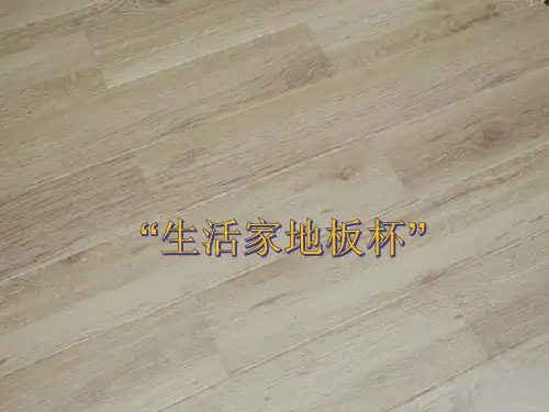 科技文化节ppt