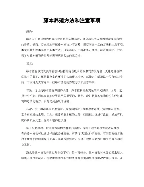 藤本养殖方法和注意事项