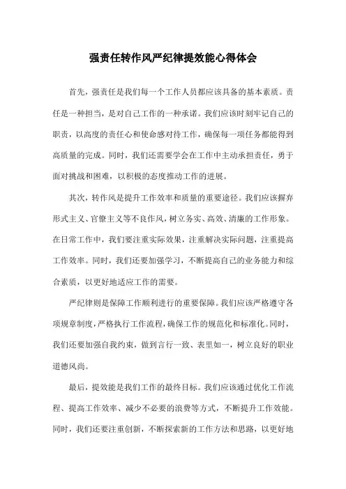 强责任转作风严纪律提效能心得体会